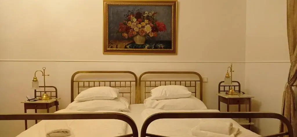 Hotel U Zlateho Jelena - Général