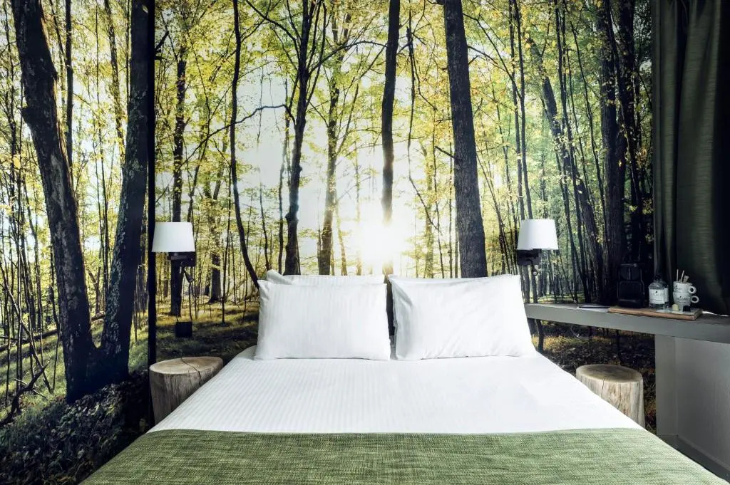 Basic Double room (full double bed)