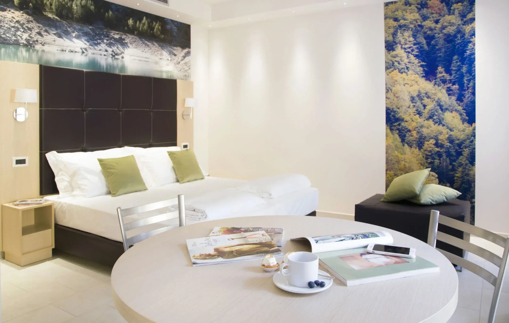 Standard Double room (full double bed)
