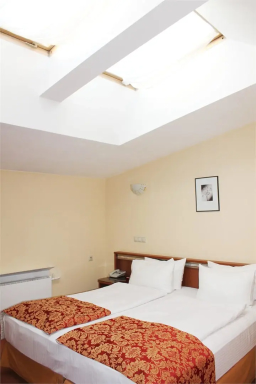 Business M Double Attic room (twin beds)