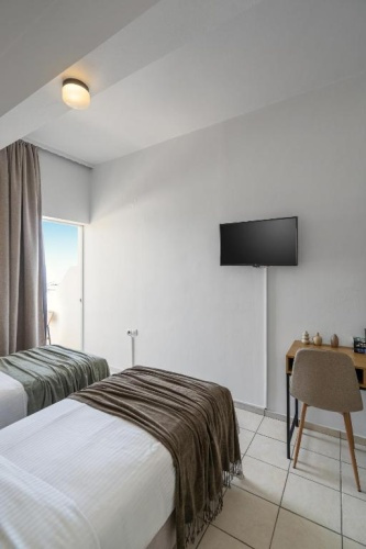 Standard Double room with garden view (twin beds)