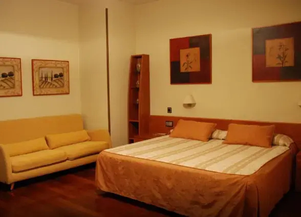 Double Junior Suite (full double bed)