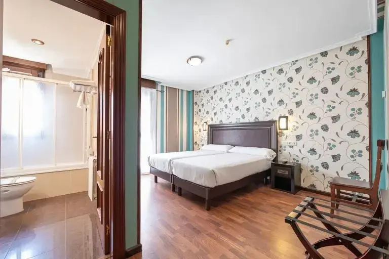Standard Double room with city view (twin beds)