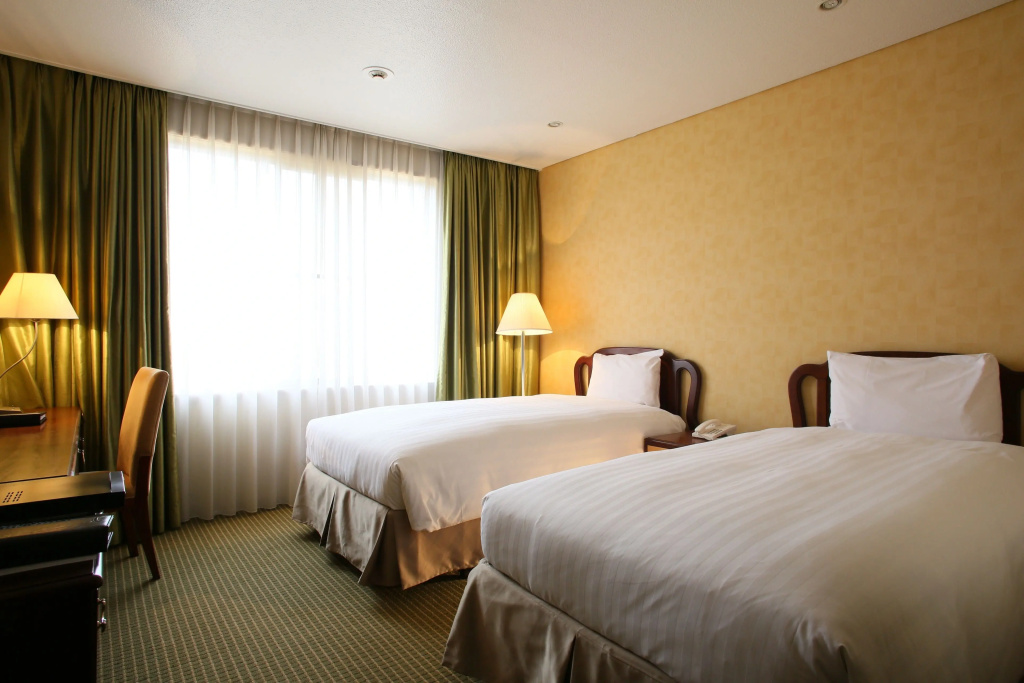 Standard Smoking Double room (twin beds)