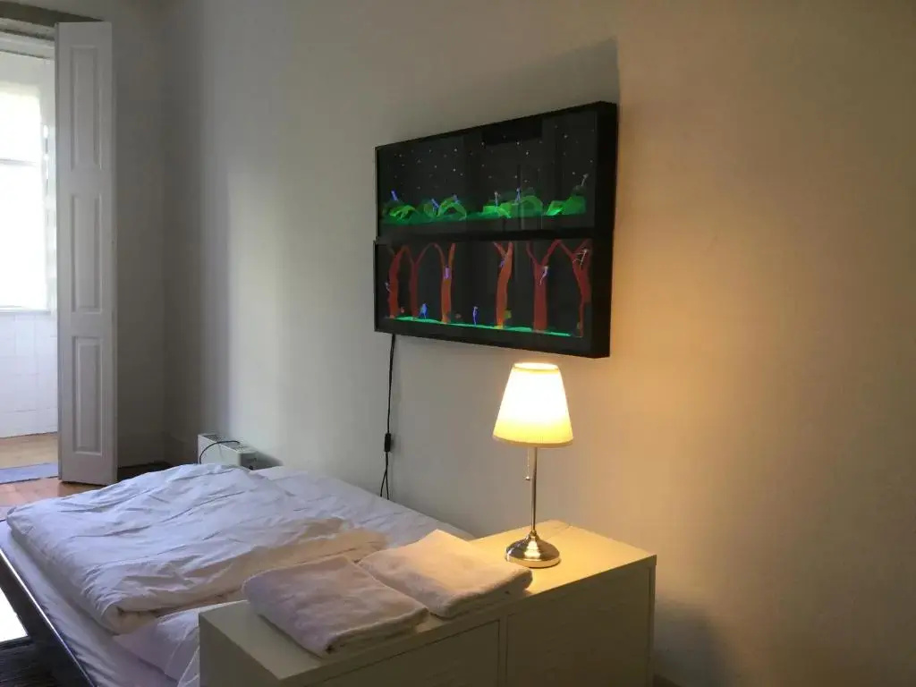 Standard Double room (full double bed)