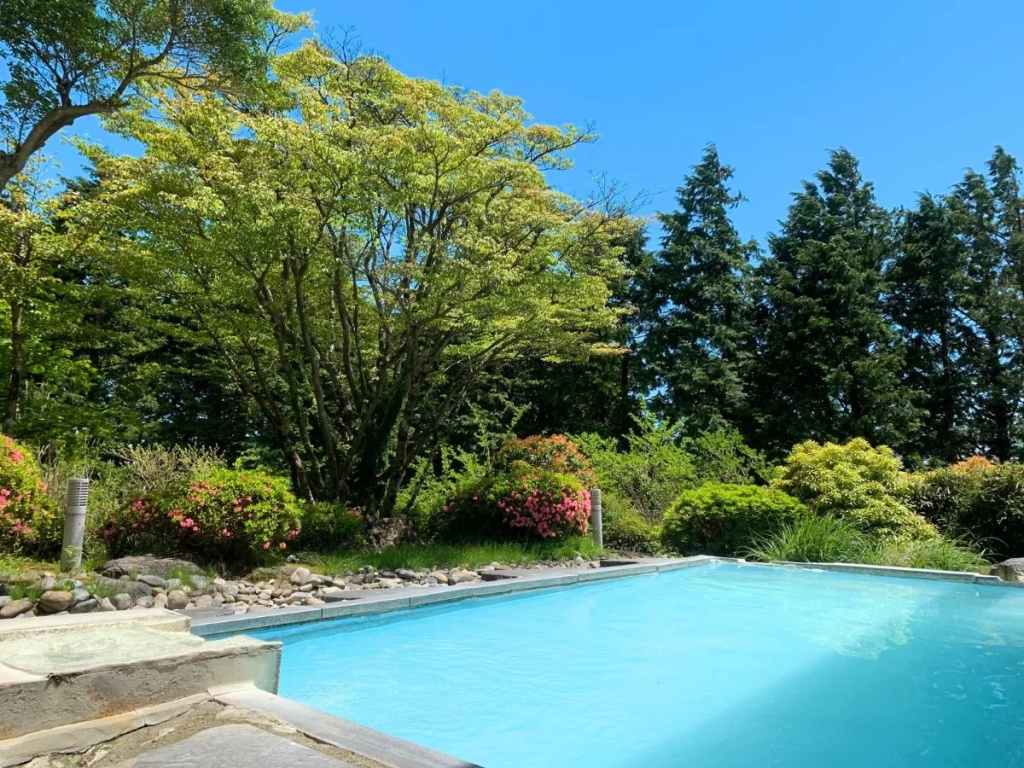 Hakone Yunohana Prince Hotel 사진 28