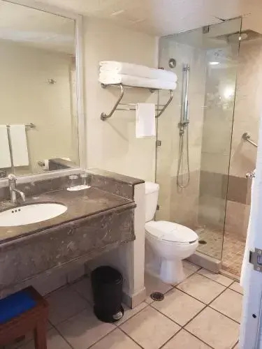 Superior Double room (full double bed)