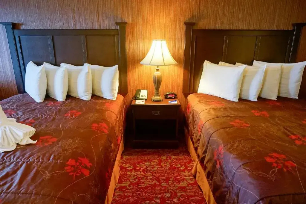 Castle Inn and Suites - Chambres