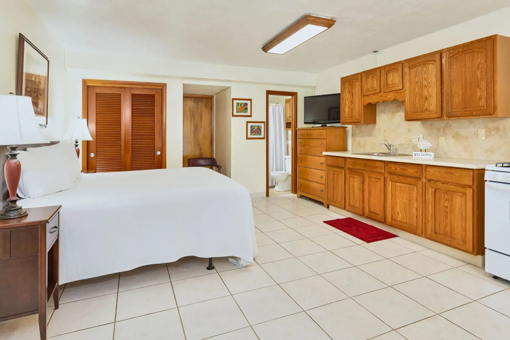 Efficiency Double room (full double bed)