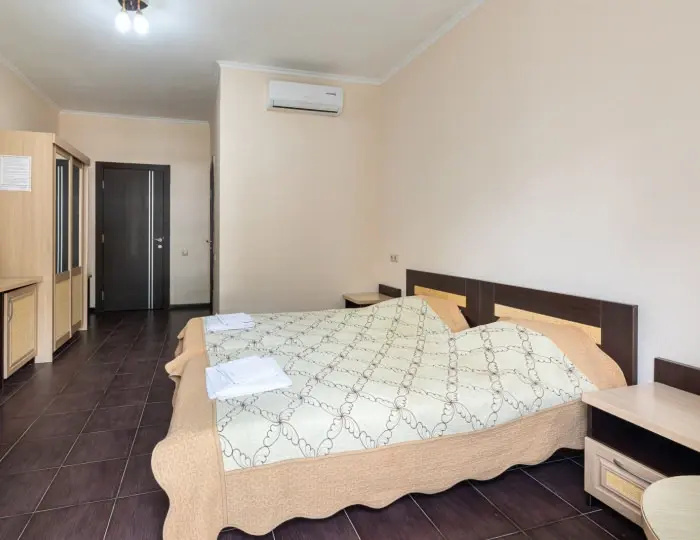 Standard Double room with mountain view (full double bed)