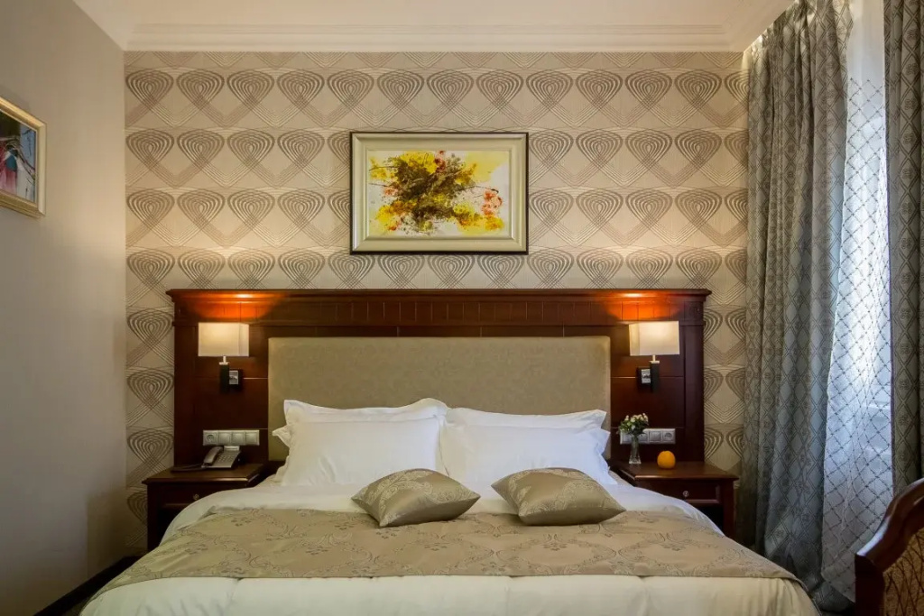 Sky Tsentr Hotel Room Type - Standard Plus Double room full double bed