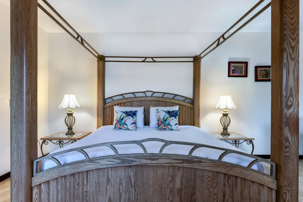 1 Bedroom Hibiscus Double Suite (full double bed)