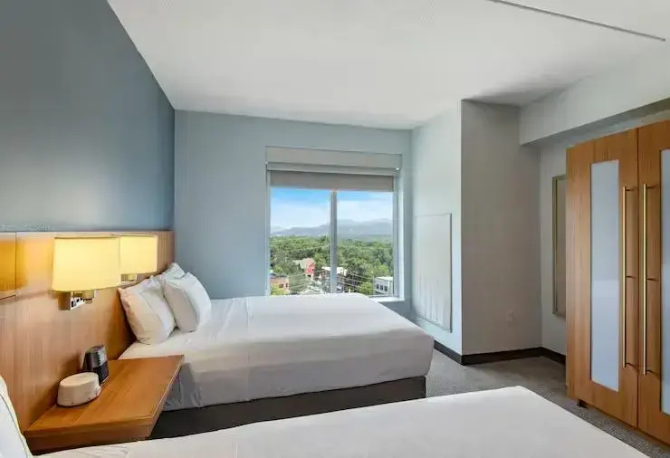 DoubleTree by Hilton Asheville Downtown - Chambres