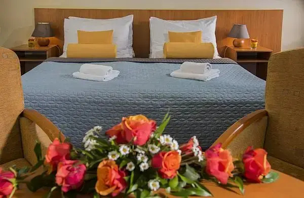 Double Suite (full double bed)
