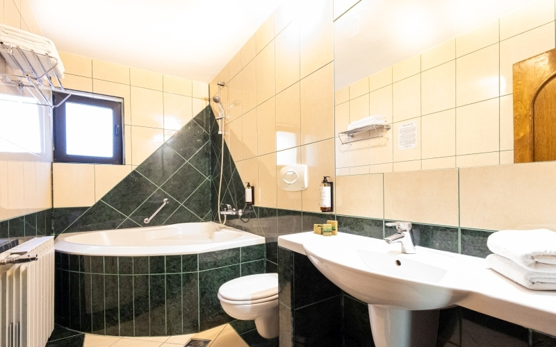 Hotel Casa Viorel - Chambres