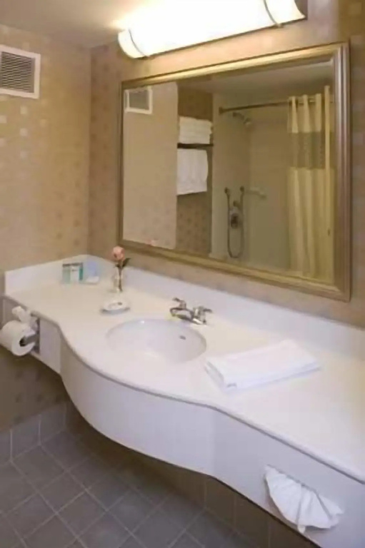 Hampton Inn & Suites Boston Crosstown Center - Chambres