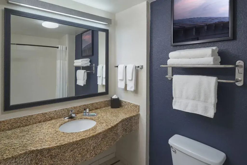 Fairfield Inn & Suites Orlando Int'l Drive/Convention Center - Chambres
