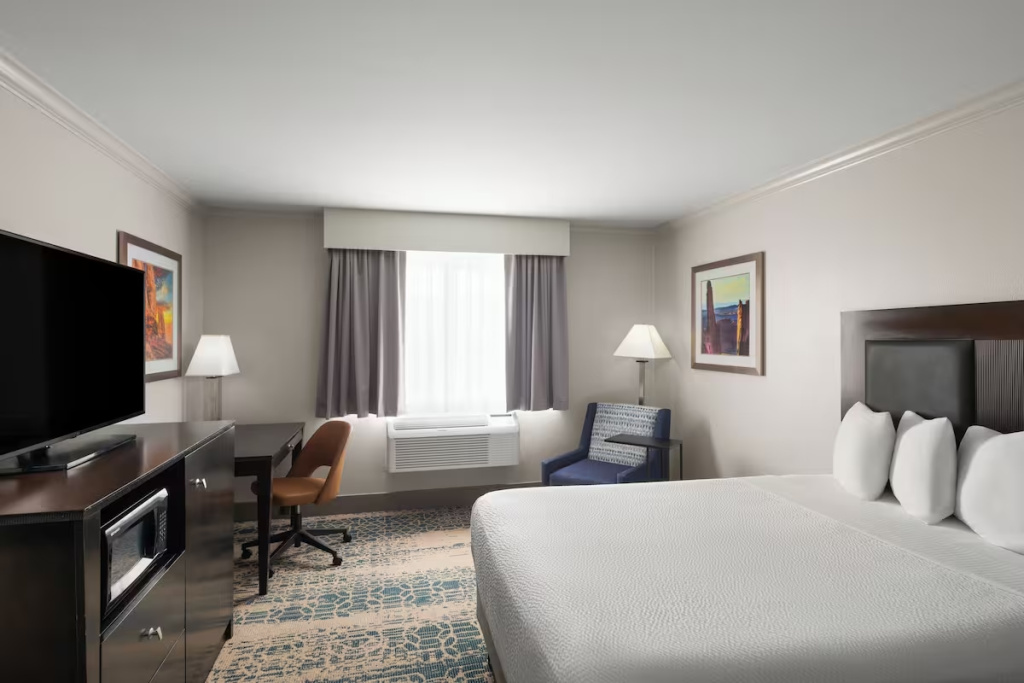 Standard Double room (full double bed)