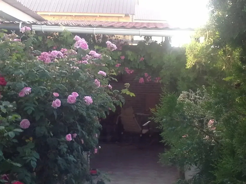 Belaya Guest House - фото 10