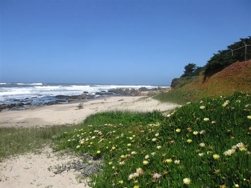 Beach & Waterfront