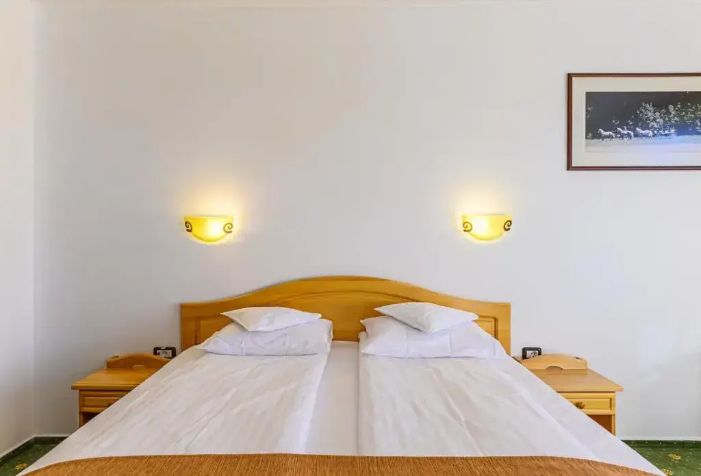 Hotel Casa Viorel - Général