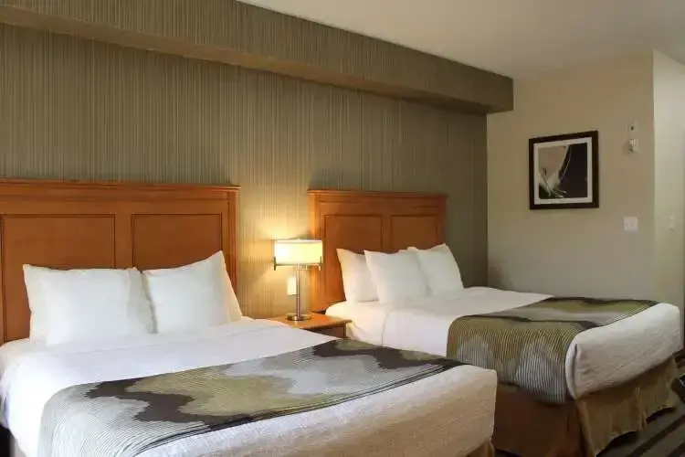 Double room (twin beds)