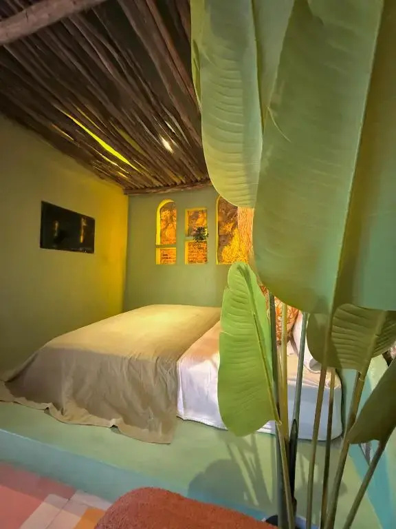 Double room with mountain view (full double bed)