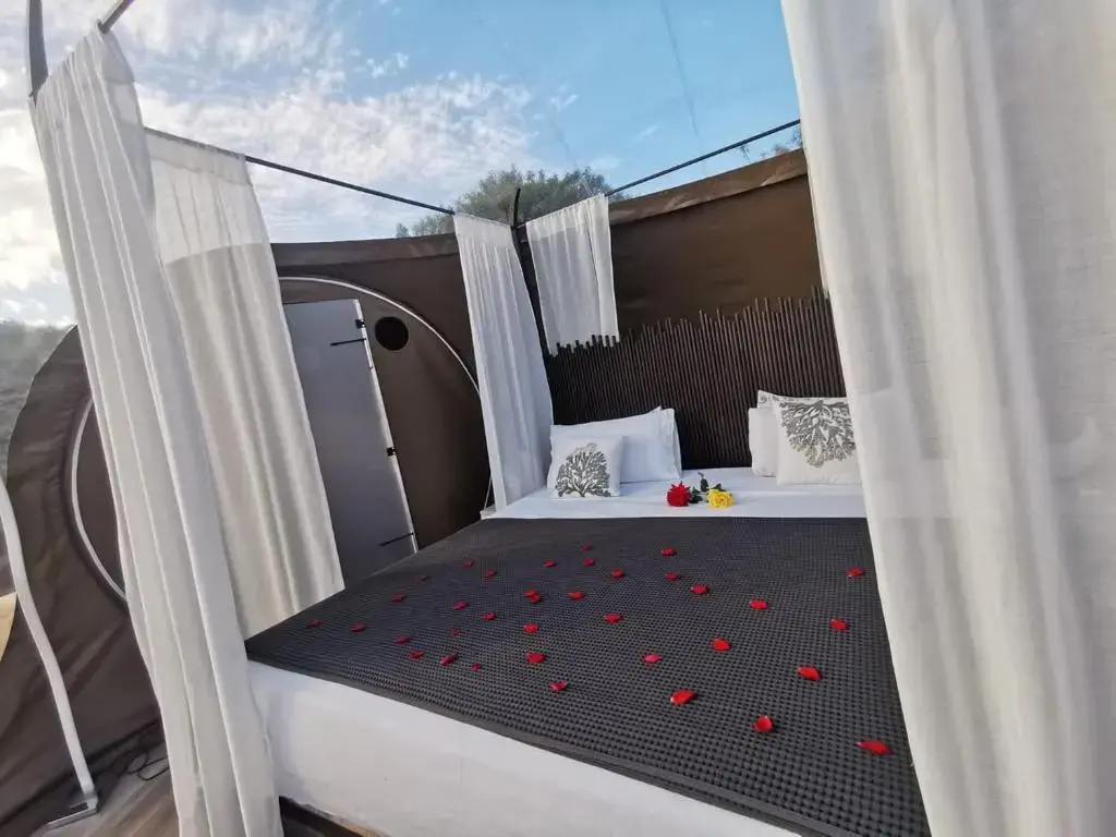 Balcony & Terrace