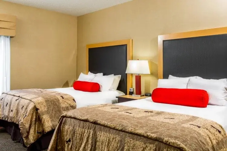 Cambria Hotel Akron - Canton Airport - Chambres