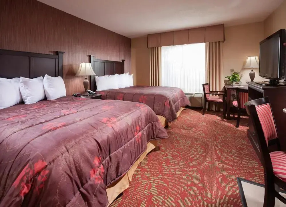 Castle Inn and Suites - Chambres