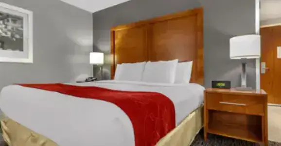 1 room Double Suite (full double bed)