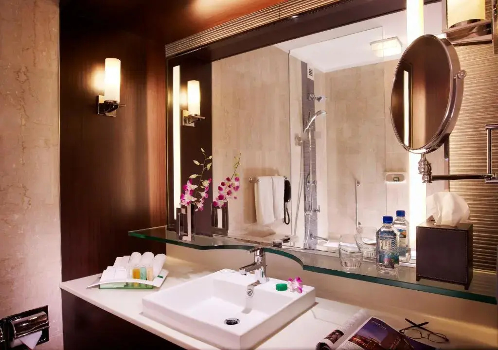 Holiday Inn Singapore Orchard City Centre by IHG - Général
