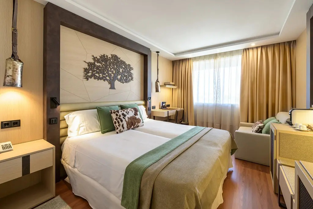 Deluxe Double room (twin beds)