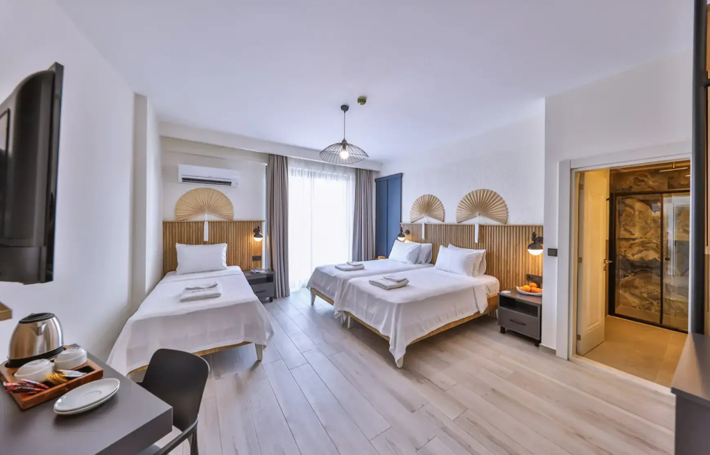 Comfort Triple room with land view