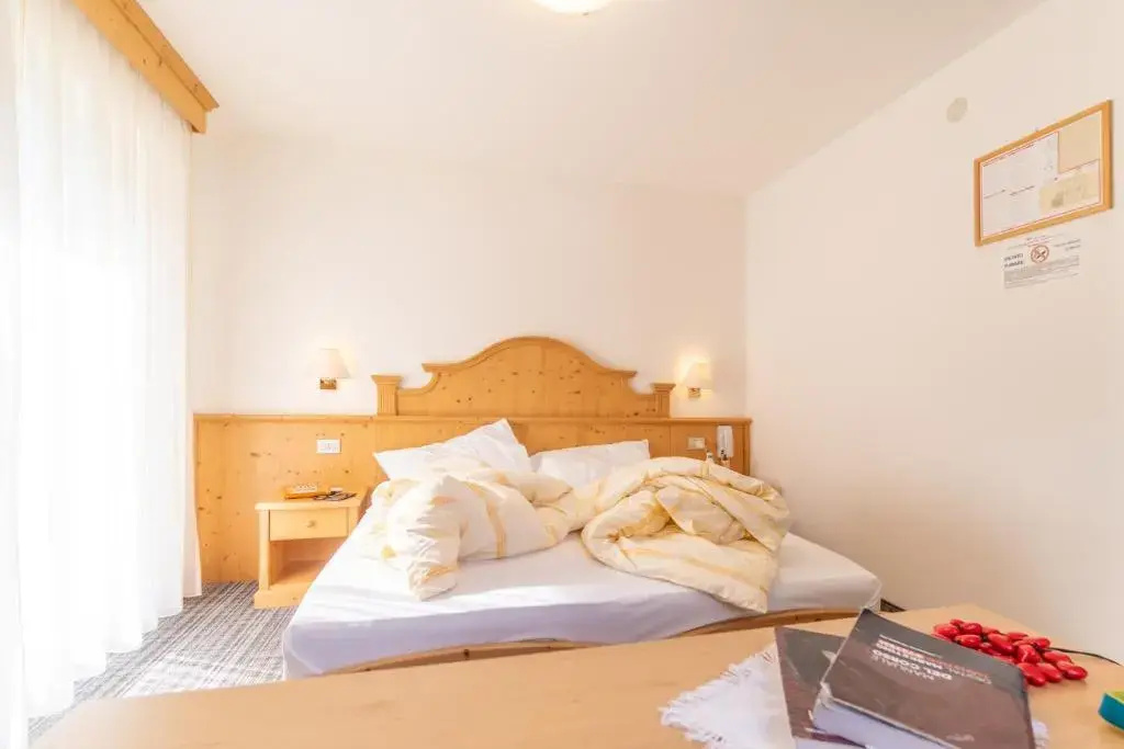 Double room with mountain view (full double bed)