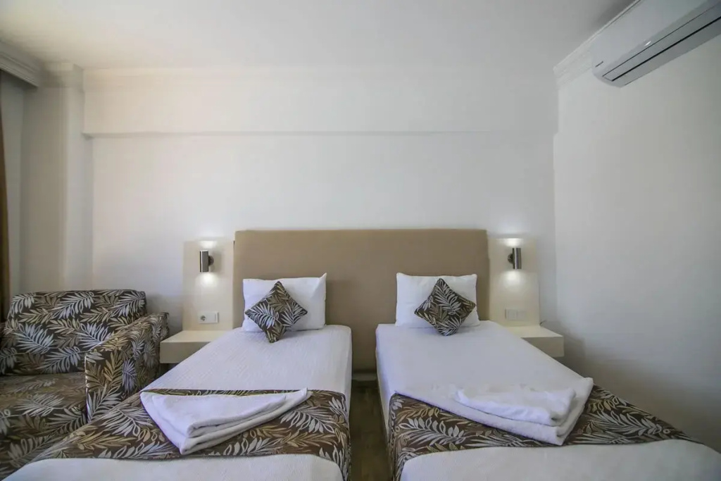 Standard Double room with mountain view (twin beds)