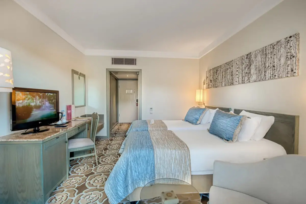 Standard Double room (twin beds)