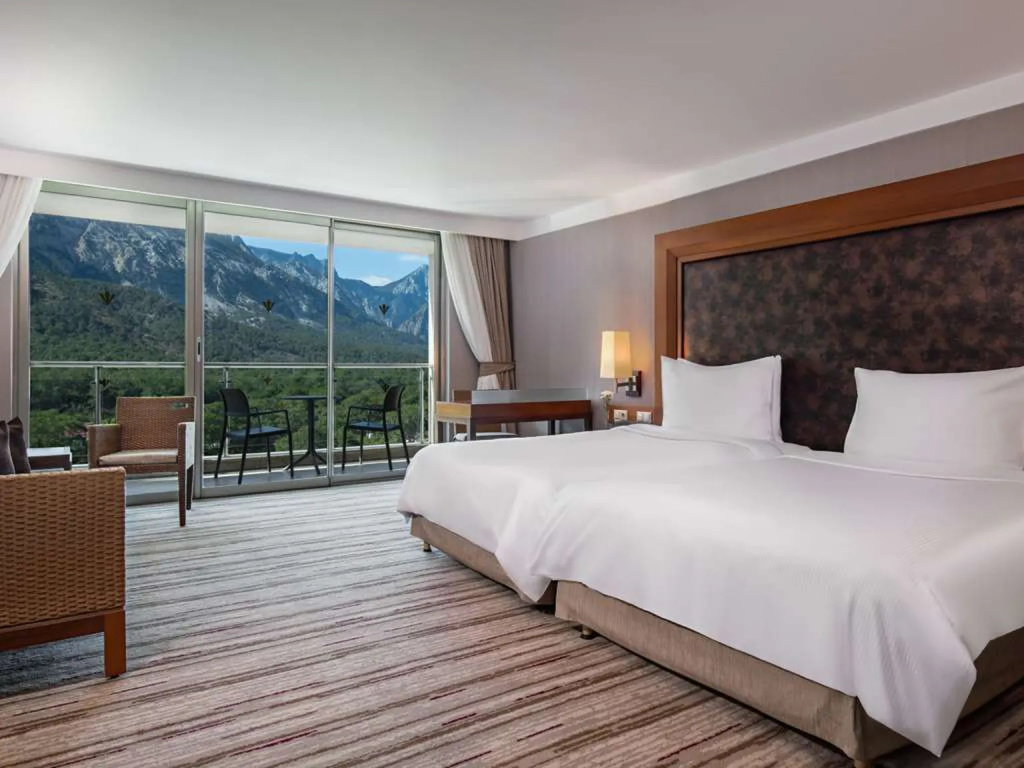 Standard with Terrace Double room (full double bed)