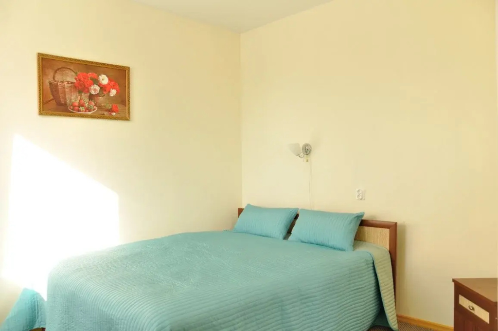 Comfort Double room (full double bed)