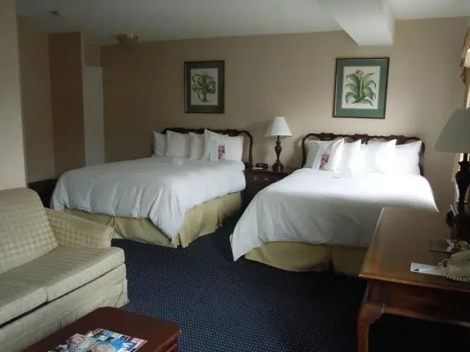 Standard Double room (twin beds)