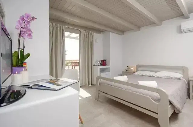 Deluxe Double room with sea view (full double bed)