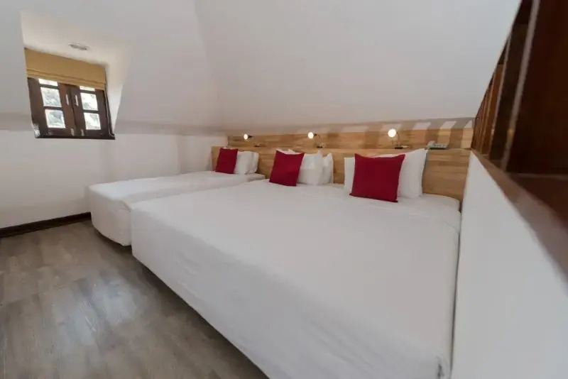 家庭三間房，帶海景