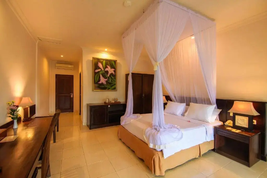 Deluxe Double room (full double bed)