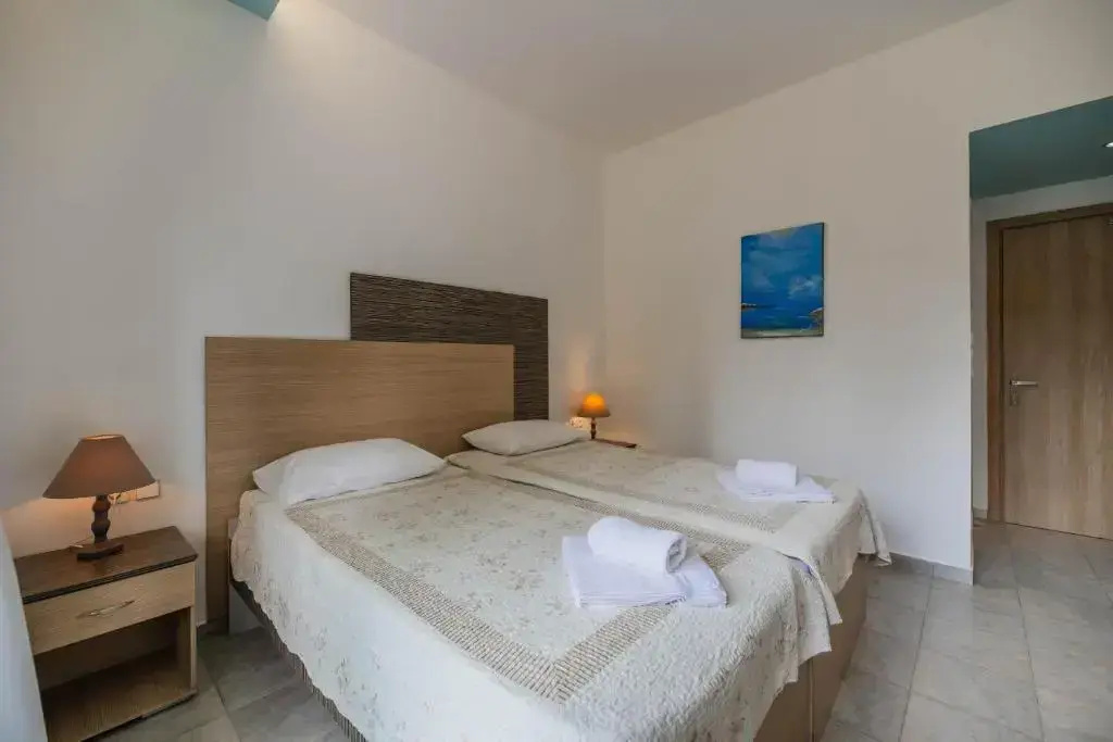 Standard Double room with mountain view (twin beds)