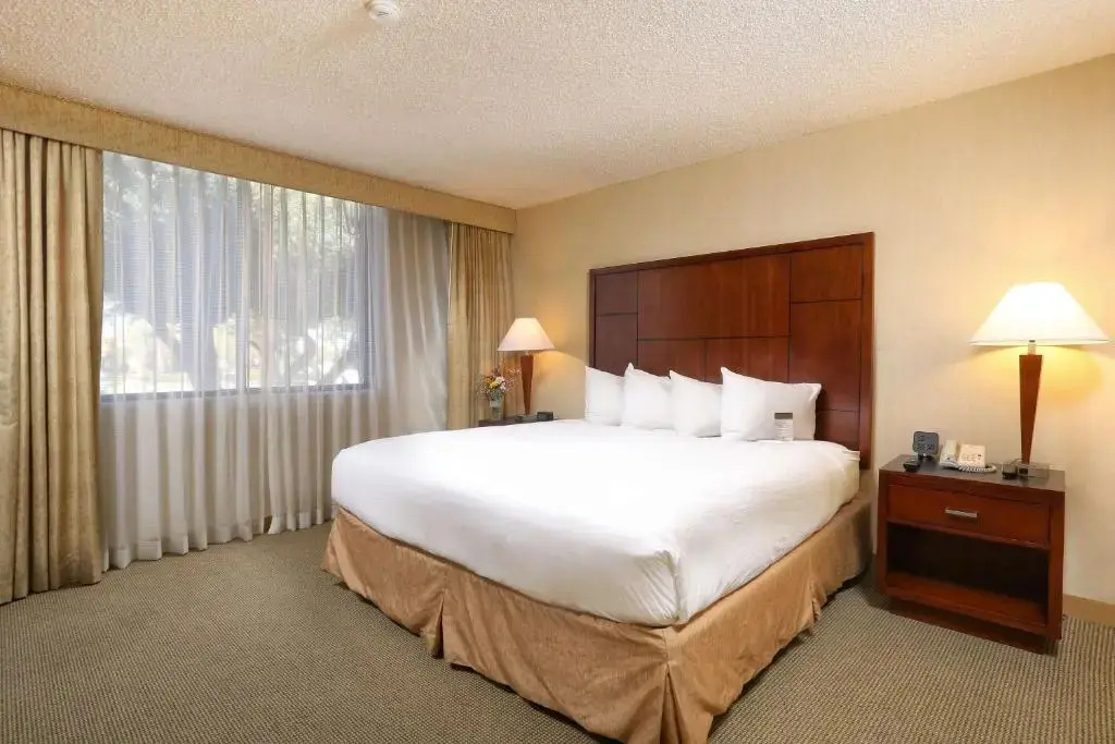 DoubleTree Suites by Hilton Tucson Airport - Chambres