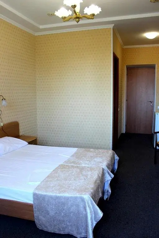 Business Standard Double room with balcony (full double bed)