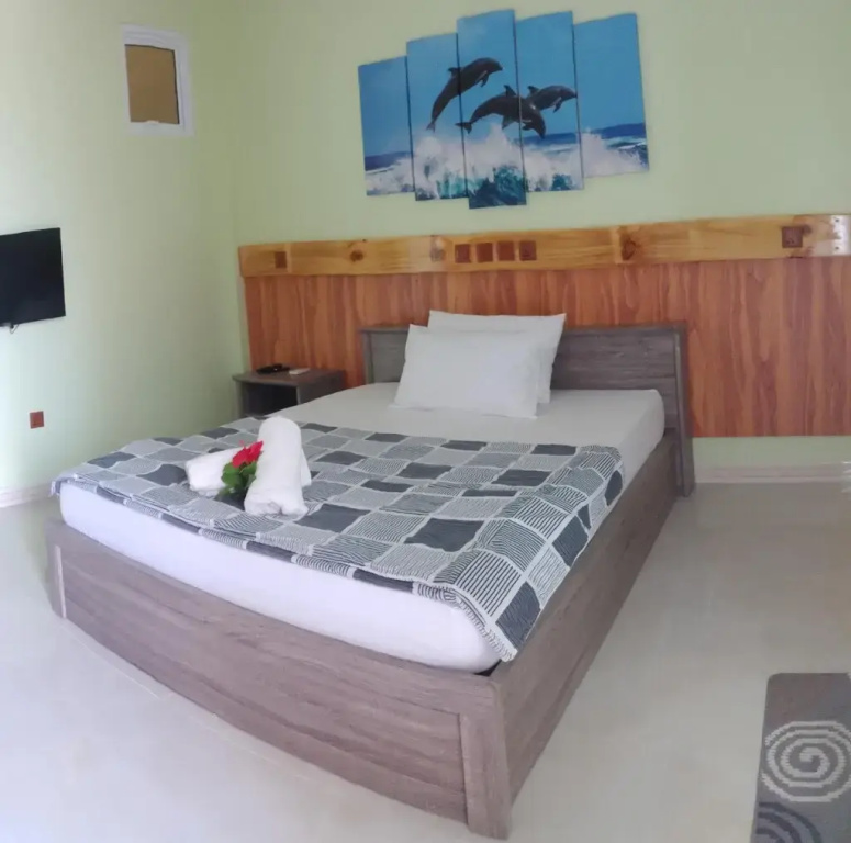 Deluxe Double room (twin beds)
