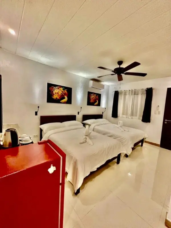 Calypso Beach & Dive Resort - Chambres