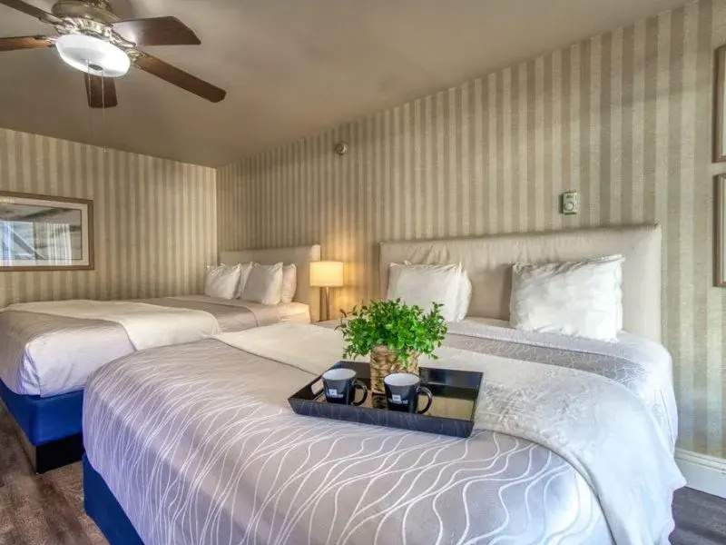 Premium Double room (full double bed)