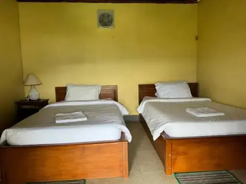 Budget Double room (twin beds)